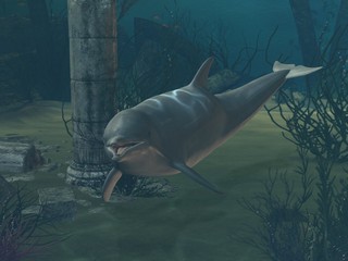 delfin am meeresgrund