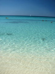 splendid water