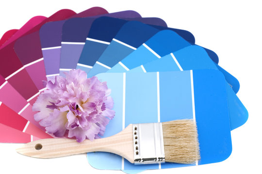 Paint Your House Winter Colors