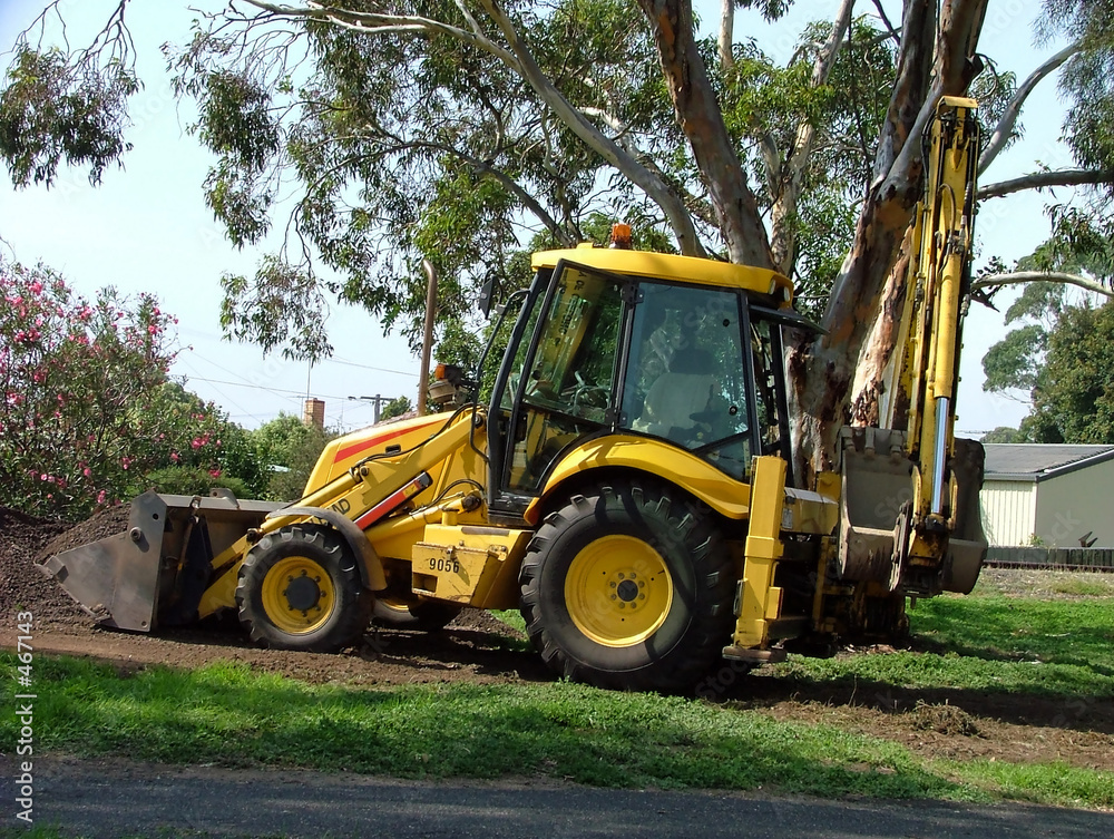 Canvas Prints earth mover