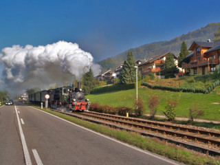 dampfzug im schwarzwald