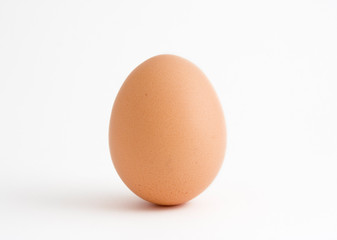 single egg on white