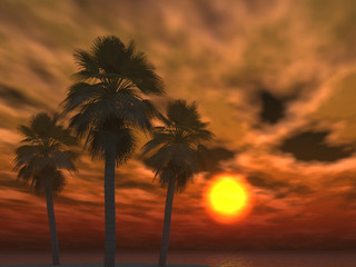 Obraz premium tropical sunset clouds and palms