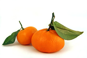 2 oranges with stems