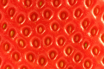 strawberry background - Powered by Adobe