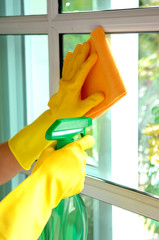housekeeping: cleaning the windows - 469711