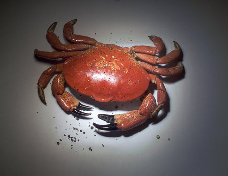 crab and pepper