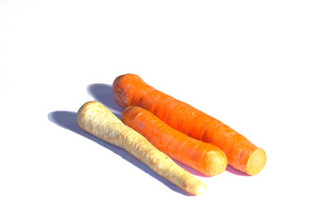 carrot