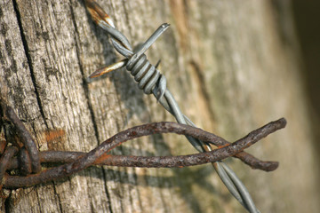 stacheldrahtrest