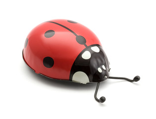 toy ladybug