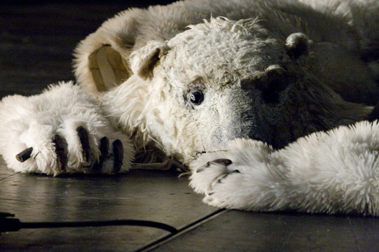eisb&auml;r
