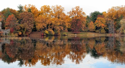 fall in westchester, ny - 485908
