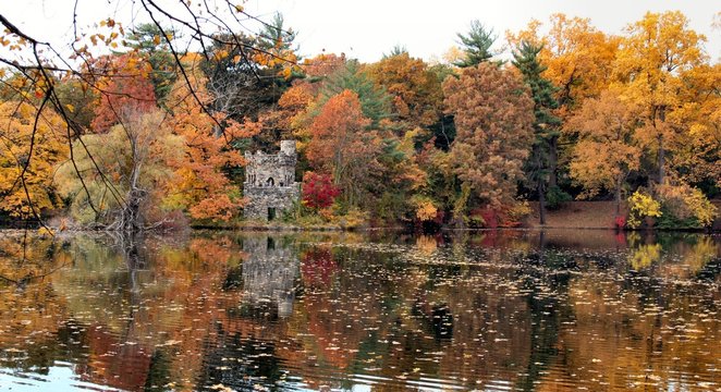 Fall In Westchester, Ny