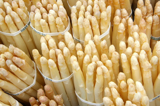 white asparagus