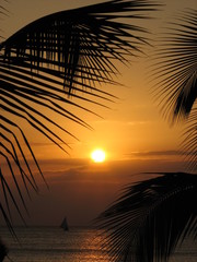 sail at sunset