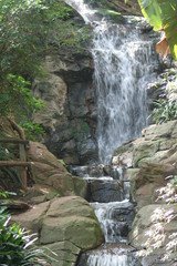 botanical waterfall