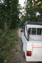 jeep safari