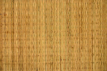 bamboo