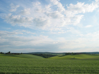 Fototapeta na wymiar meadow landscape