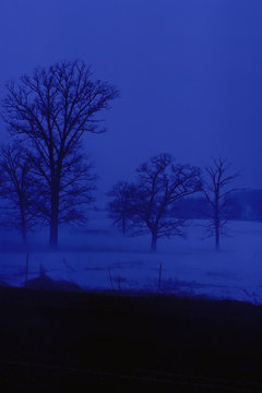 blue mist