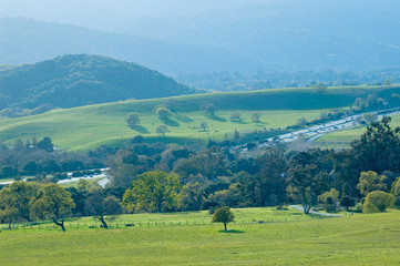 northern california spring view