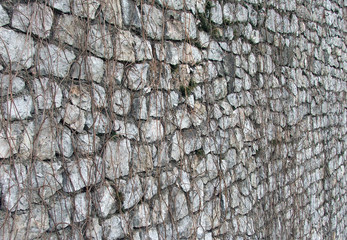 wall