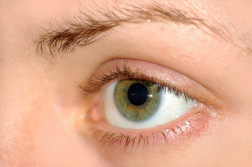 Obraz premium eye