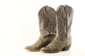 old snake skin boots