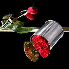 la boite de rose