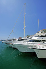 Fototapeta premium big, beautiful, stunning and luxurious white yachts
