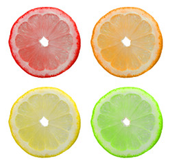 sectors of a lemon