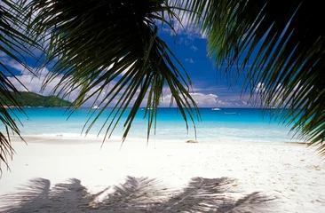 white sand beach