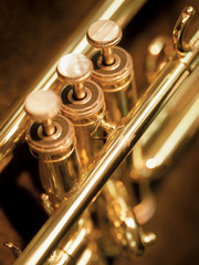 trumpet valves