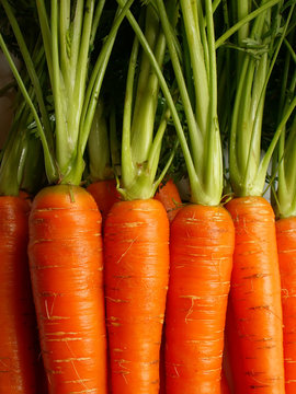 carrots