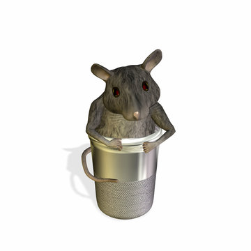mouse in thimble