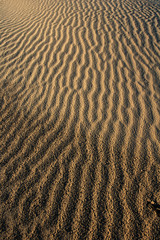 abstract sand backgound: vertical