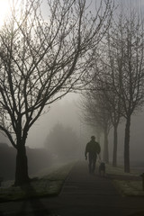 foggy morning stroll