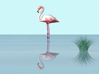 Fototapeta na wymiar flamingo flamand rose