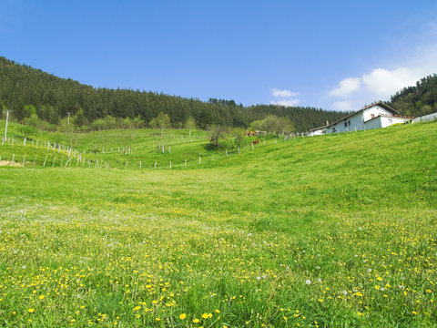caserio en la pradera
