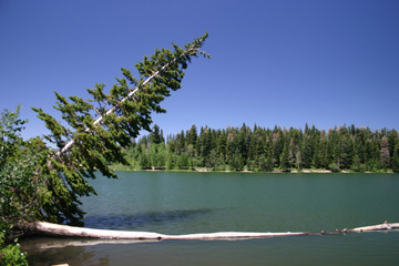 payson lake panorama #2