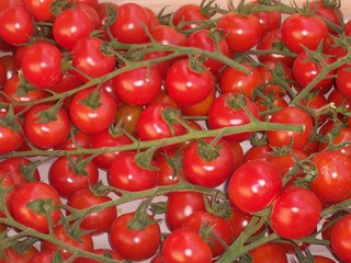 tomate grappe