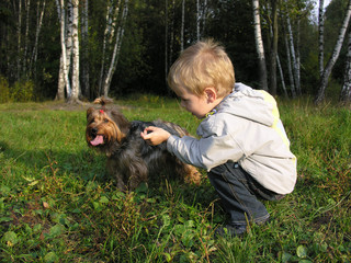 child with dog sundown wood