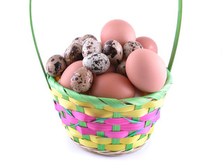 basket full of eggs