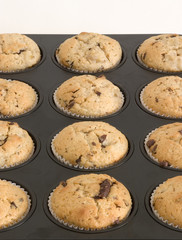 muffins im muffinblech