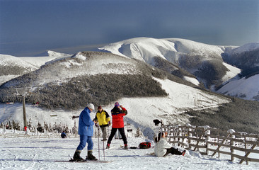 skiers