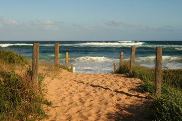 Obraz premium welcome to the ocean