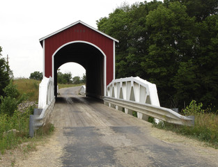 wolf bridge