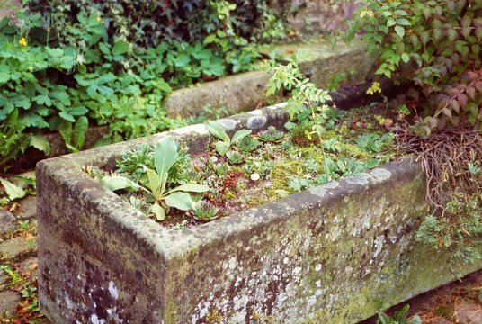 sattes gr&uuml;n