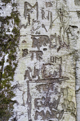 tree graffiti 2