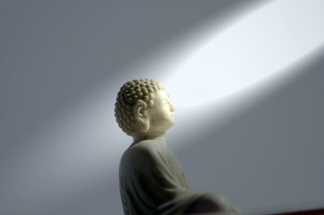buddha in spotlight